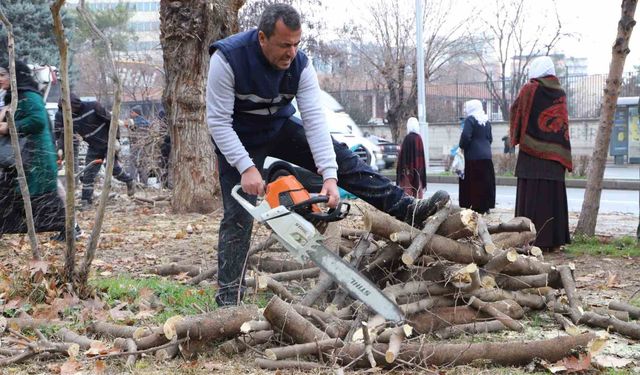 O İlde 24 bin 833 ağaç budandı