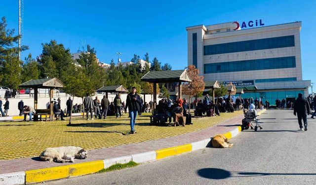 Diyarbakır’da Sokak Köpeği Saldırısında 5 Yaşındaki Çocuk Kafasından Yaralandı