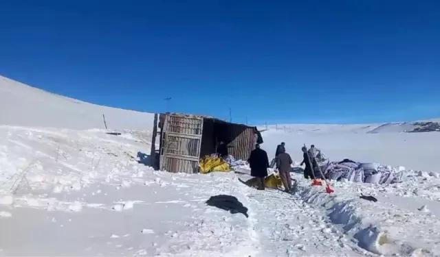 Bingöl’den Erzurum’a Giden Yem Yüklü Kamyon Devrildi