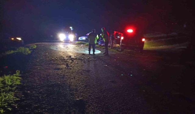 Kars’ta İki Ticari Araç Çarpıştı: 1 Ölü, 4 Yaralı