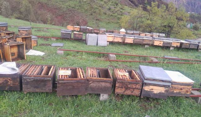 Tunceli’de Fırtına Arıcıları Vurdu! Doğan, TARSİM’e Başvuru Çağrısı Yaptı
