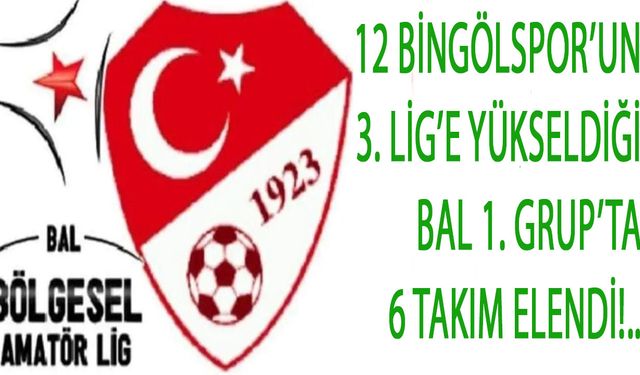 12 Bingölspor'un Şampiyon Olduğu Grupta, 6 Takım Elendi!