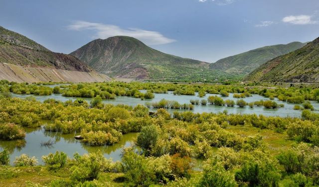 Bingöl Sınırında Fotosafari Heyecanı!