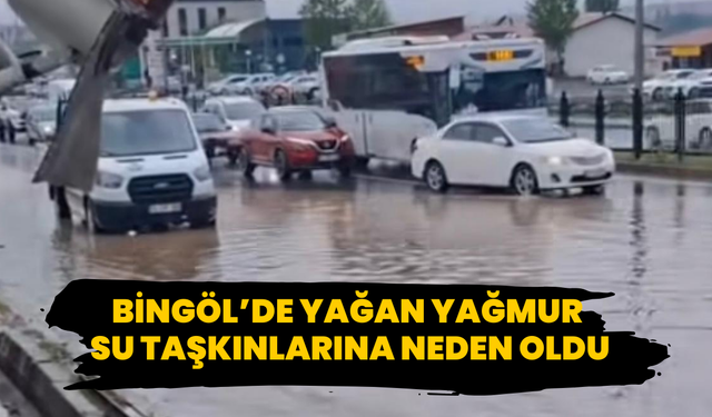 Bingöl’de Yağan Yağmur Su Taşkınlarına Neden Oldu