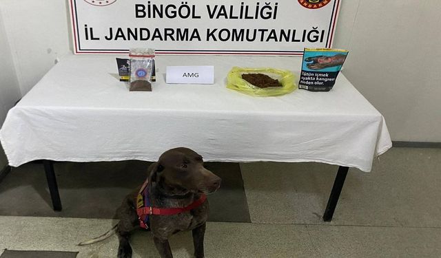 Bingöl'de Otobüste Yapılan Aramada Bonzai Ele Geçirildi