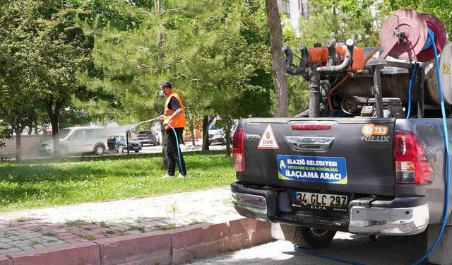 Kent Genelinde İlaçlama Çalışmaları Yapılıyor