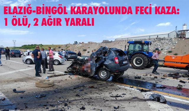 Elazığ Bingöl Karayolunda Feci Kaza: 1 Ölü, 2 Ağır Yaralı