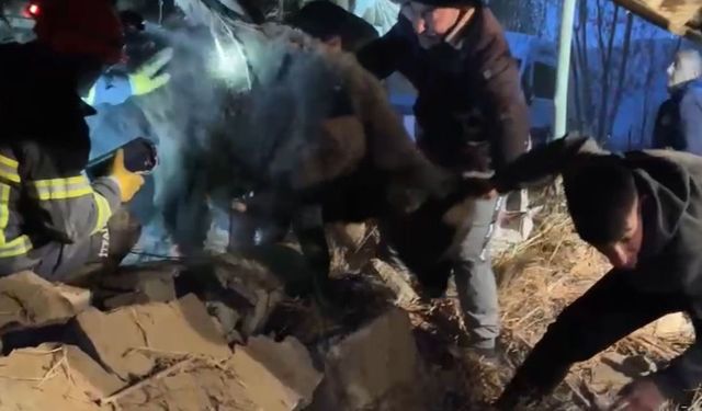 Hakkari'de Ahır Çöktü: 10 Hayvan Enkaz Altında Kaldı
