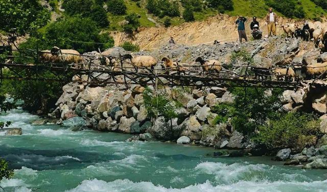 Koyunlarını Asma Köprüden Geçirerek Yaylaya Çıkıyorlar
