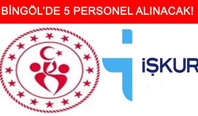 Bingöl'de 5 İşçi Alımı Yapılacak!