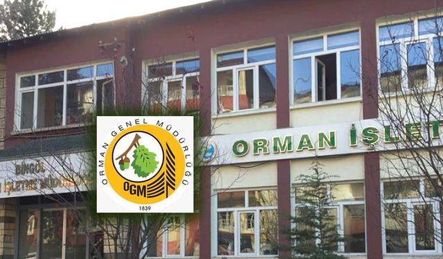 BİNA İNŞAATI YAPTIRILACAKTIR