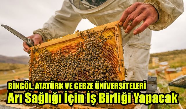 Bingöl, Atatürk ve Gebze Üniversitelerinden Arı Sağlığı İçin İş Birliği