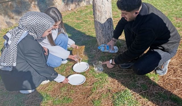 Üniversite öğrencileri Sokak Hayvanlarını Besledi