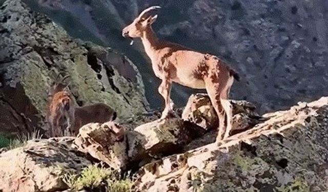 Bu Şehirde Doğa Bile Tebessüm Ediyor!