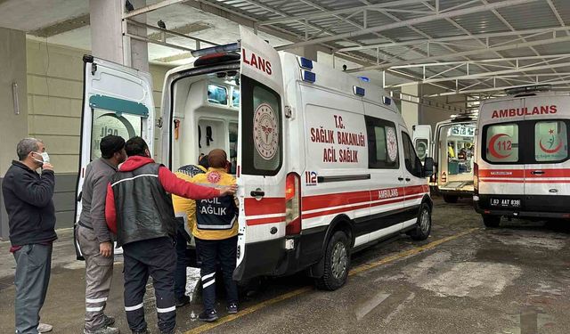 Tırın Çarptığı Yaşlı Kadın Hayatını Kaybetti