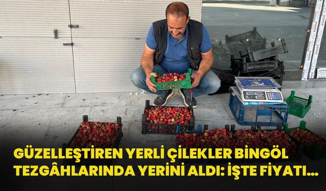 Güzelleştiren Yerli Çilekler Bingöl Tezgâhlarda Yerini Aldı: İşte Fiyatı…