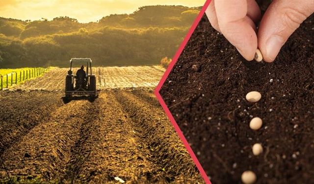 Tarımsal Destekleme Ödemesi Çiftçilerin Hesabına Yatırılıyor
