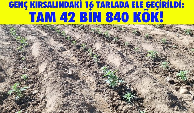 Bingöl'de Jandarmadan Dev Narkotik Operasyon!