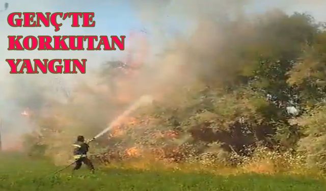 Bingöl'ün İlçesinde Korkutan Yangın!