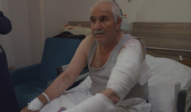 Kurdun Saldırısına Uğrayan Adam Hastaneye Kaldırıldı!