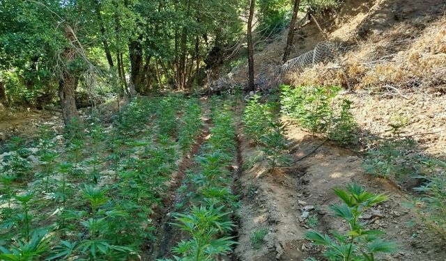 Bingöl’de Jandarmadan Uyuşturucu Operasyonu