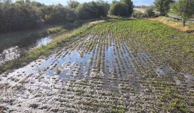 Tarlalar Su Altında Kaldı, Çiftçiler Mağduriyetlerini Dile Getirdi