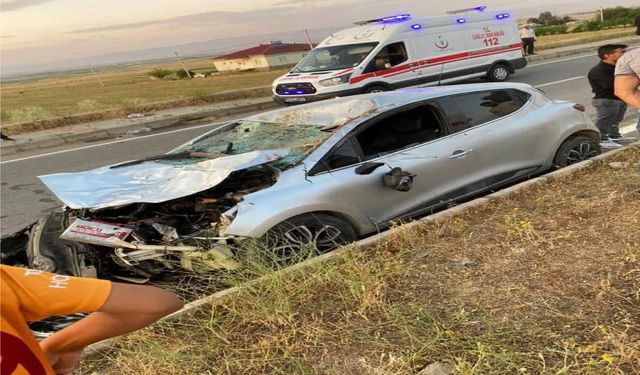 Seyir Halindeki Otomobil İneğe Çarptı: 1 Yaralı