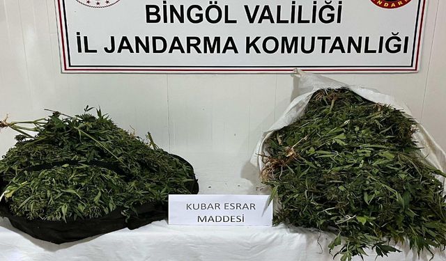Bingöl'de Yol Aramasında 18 Kilo Esrar Yakalandı