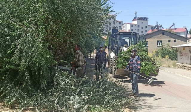 Bingöl'ün Genç İlçesinde Ağaçlar Budandı