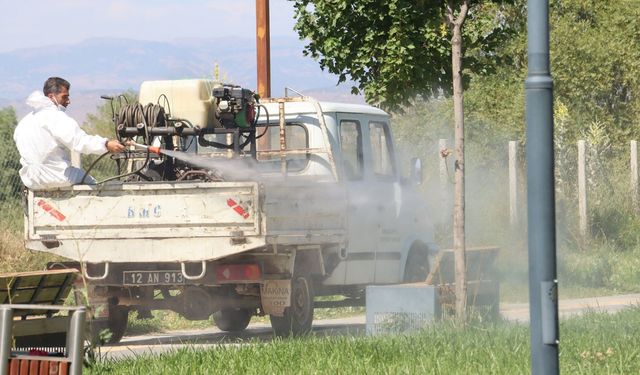 Genç Belediyesi İlaçlama Çalışmalarını Sürdürüyor