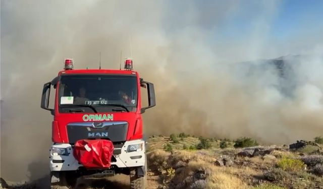 Elazığ'daki Yangında 500 Dönüm Arazi Kül Oldu