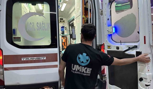 Tarlasını Sularken Yılan Isırdı!