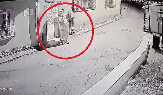 Çocukları Kovalayan Palyaço Yakalandı