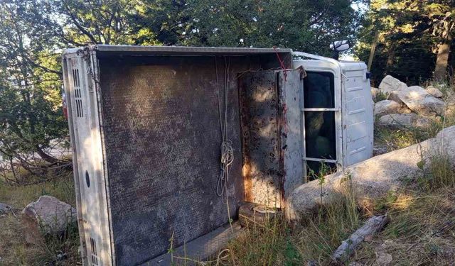 Kontrolden Çıkan Kamyonet Şarampole Devrildi