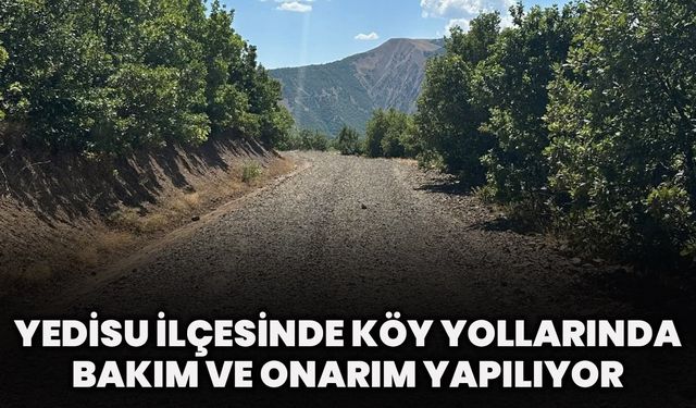 Yedisu İlçesinde Köy Yollarında Bakım Ve Onarım Yapılıyor