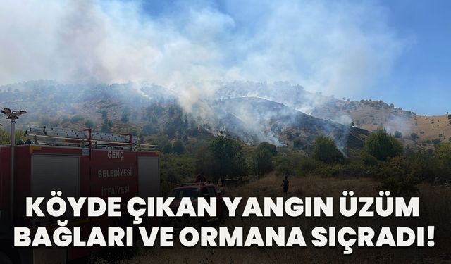 Köyde Çıkan Yangın Üzüm Bağları Ve Ormana Sıçradı!