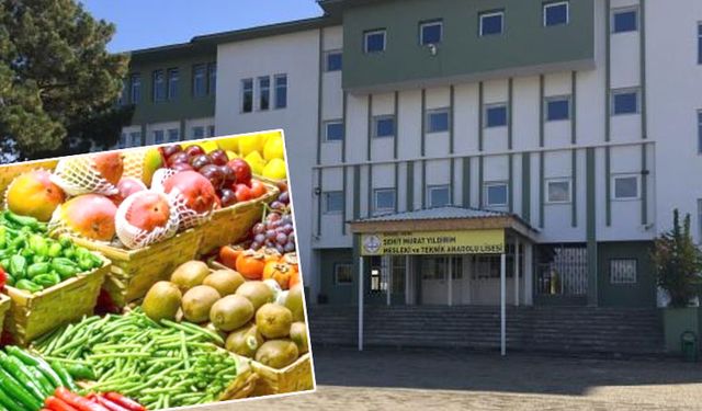 ŞEHİT MURAT YILDIRIM MESLEKİ VE TEKNİK ANADOLU LİSESİ MÜDÜRLÜĞÜ
