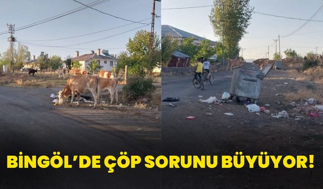 Bingöl’de Çöp Sorunu Büyüyor!