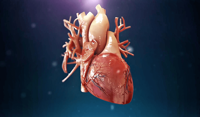 Kalpte Alarm Veren 9 Önemli Belirti!