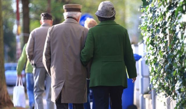 O ülkede Asırlık Çınarlar Artıyor!