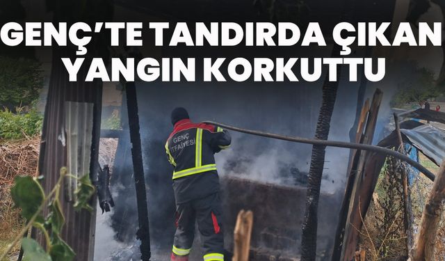 Genç’te Tandırda Çıkan Yangın Korkuttu