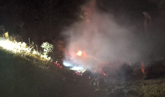 Bingöl'de Aynı Yerde 1 Gün Arayla İkinci Yangın!