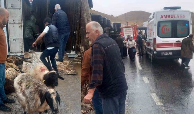 Korkutan TIR Kazası: Çocuk ve Kadın Yaralandı, Koyunlar Telef Oldu