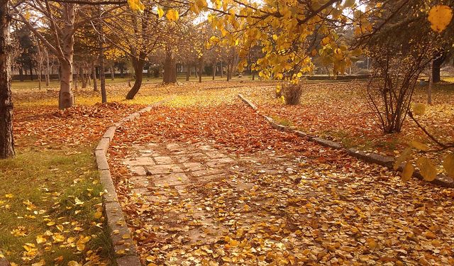 Sonbaharda görünmez tehlikeye dikkat!