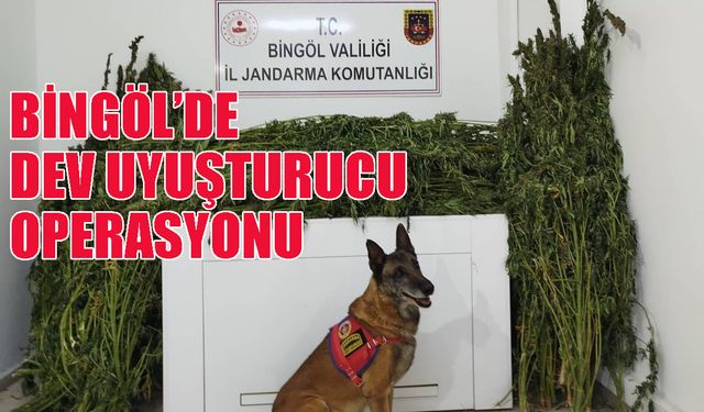 Bingöl’de 91 Kilo Narkotik Madde Ele Geçirildi!