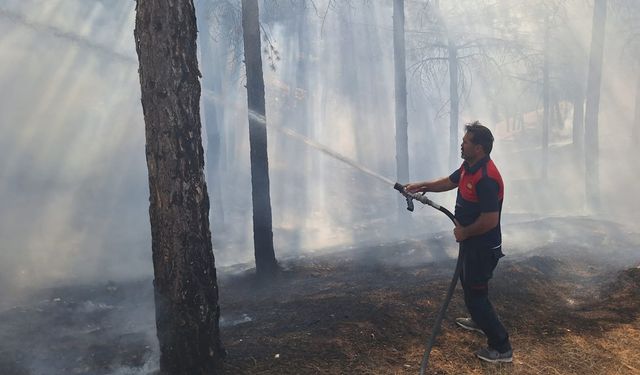 Çamlık'ta Çıkan Yangına Hızlı Müdahale!