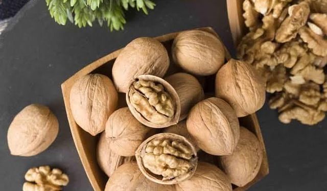 Bingöl'de Ceviz Hasadı Başladı, Verimli Hasat İçin Neler Yapılmalı?