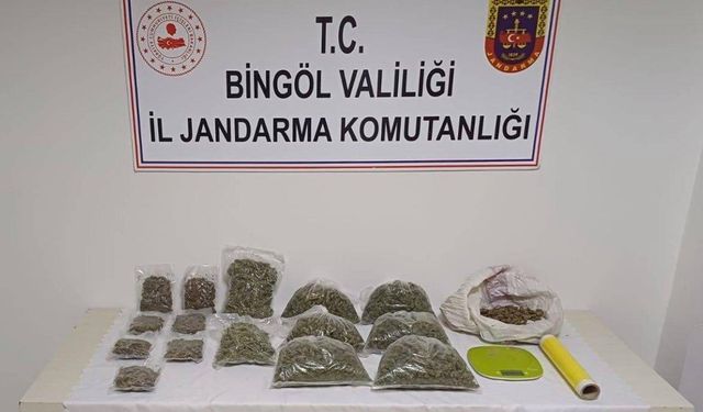 Bingöl’de Jandarma Zehir Tacirlerine Geçit Vermedi: 1 Tutuklama
