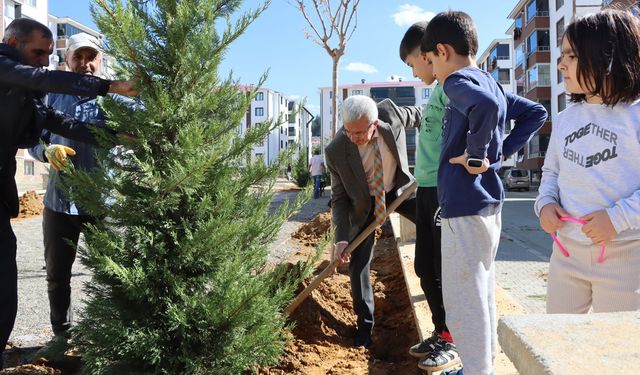 Bingöl'de Solar Aydınlatmalı Parkta Fidanlar Toprakla Buluşturuldu