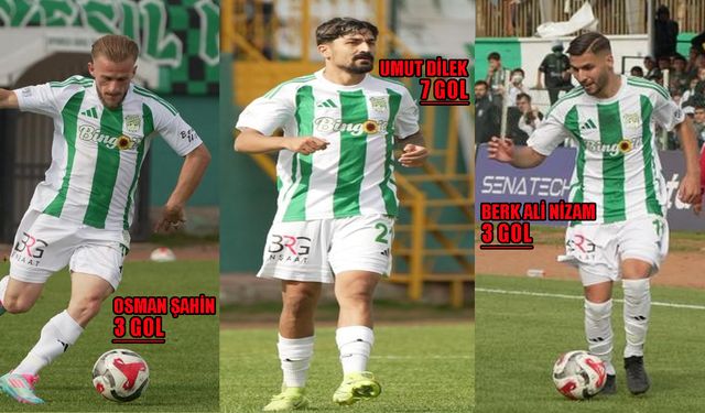 Ligin Gol Kralı 12 Bingölspor'dan!